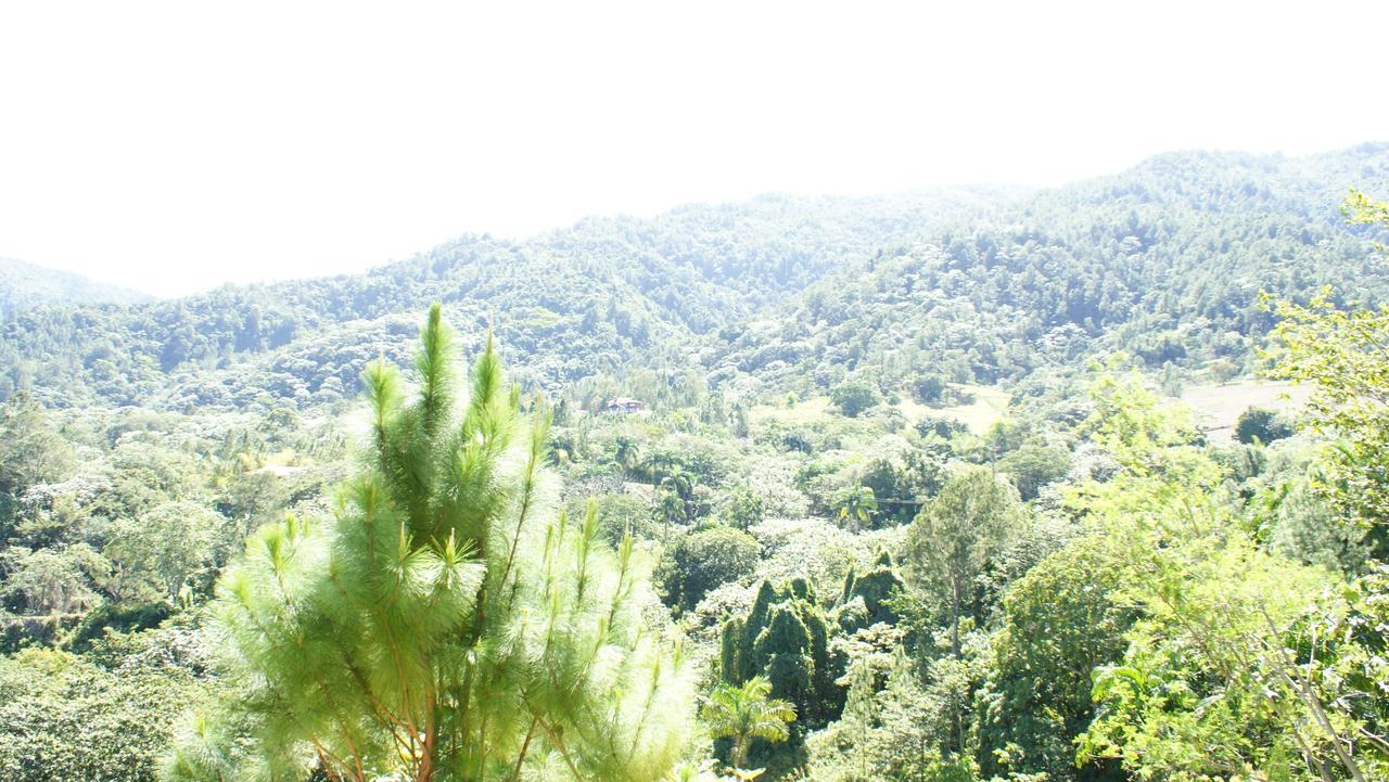 Hotel Rancho La Aurora Jarabacoa Dış mekan fotoğraf